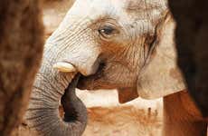 Excursão a Valência + Bioparc