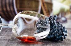 Visita a las bodegas Mas de Rander