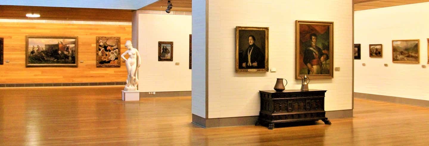 Visita guiada por el Museo de Bellas Artes desde Castellón de la Plana