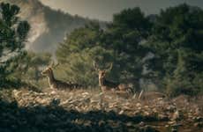 Tour por el Parque de las Sierras de Cazorla, Segura y Las Villas