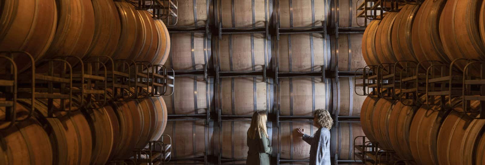 Excursión a las bodegas Marqués de Cáceres desde Cenicero