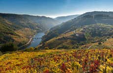 Visita à adega Vía Romana
