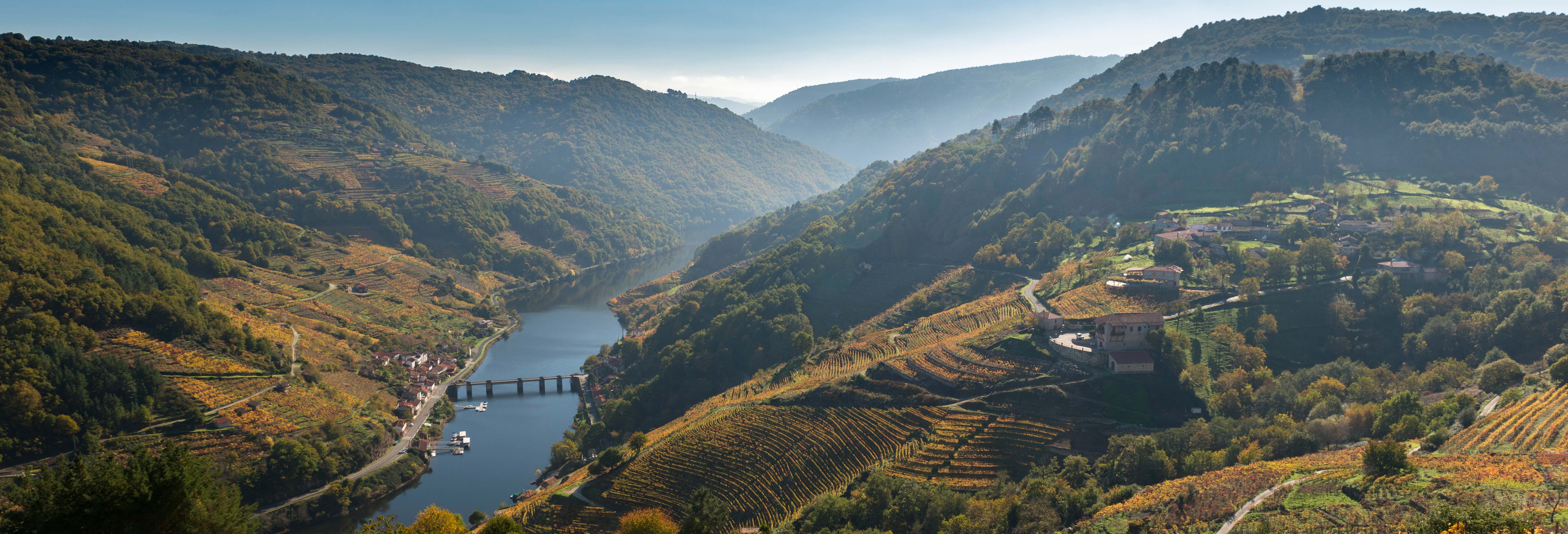 Excursión a la bodega Vía Romana desde Chantada