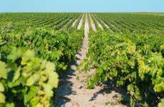 Tour do vinho de Jerez