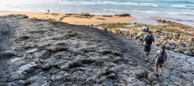Ruta de los dinosaurios por Colunga