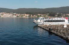 Giro in barca sull'estuario + Degustazione di cozze