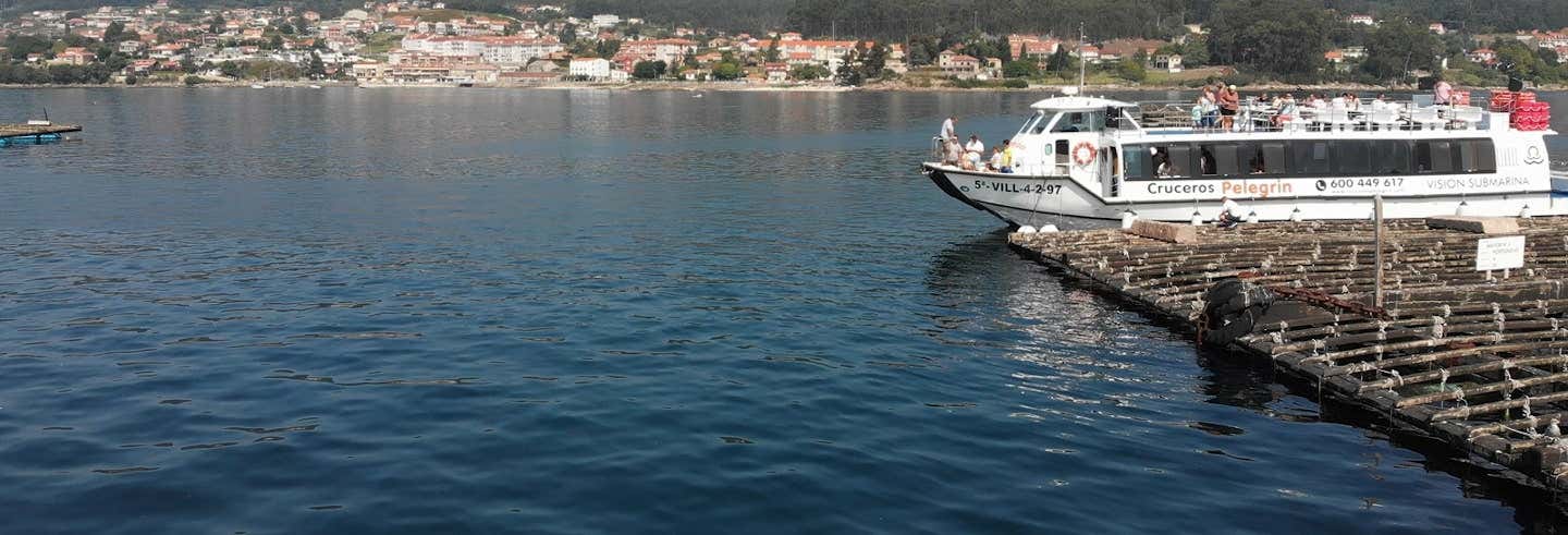 Excursión en barco por la ría + Degustación de mejillones desde Combarro