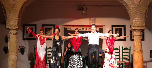 Espectáculo flamenco