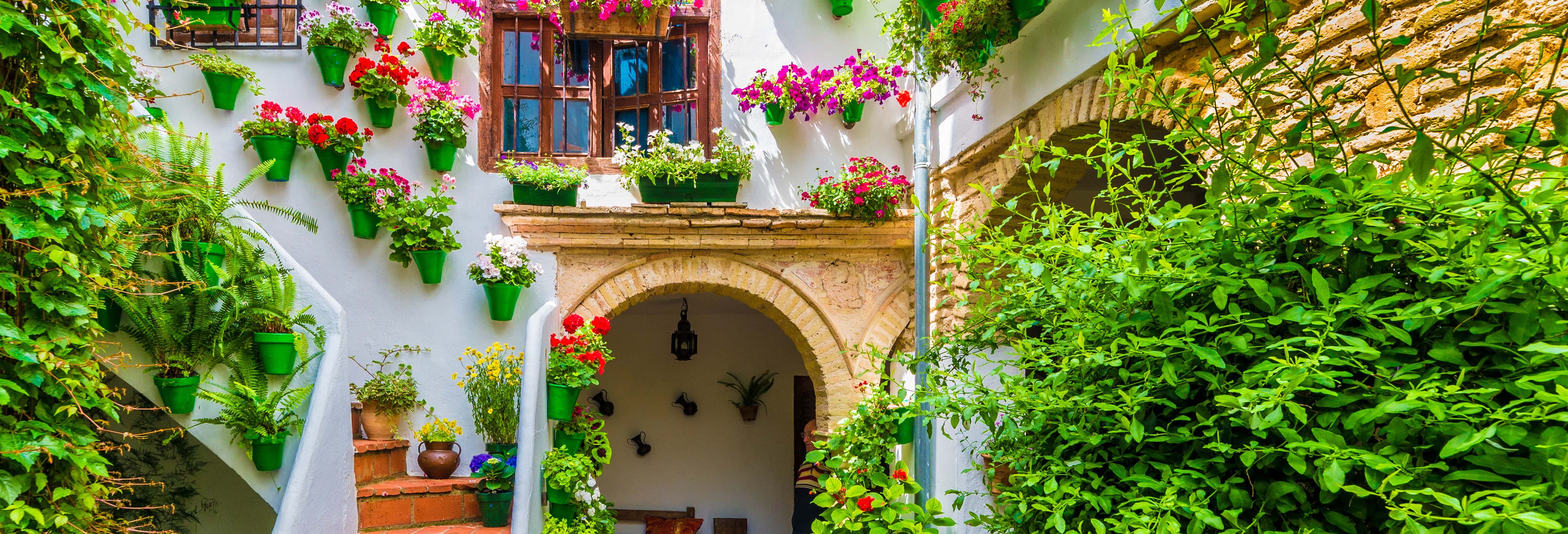 Free tour por los patios de Córdoba
