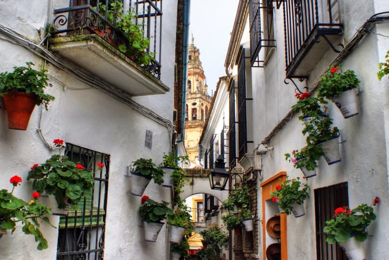 Flores nas ruas de Córdoba