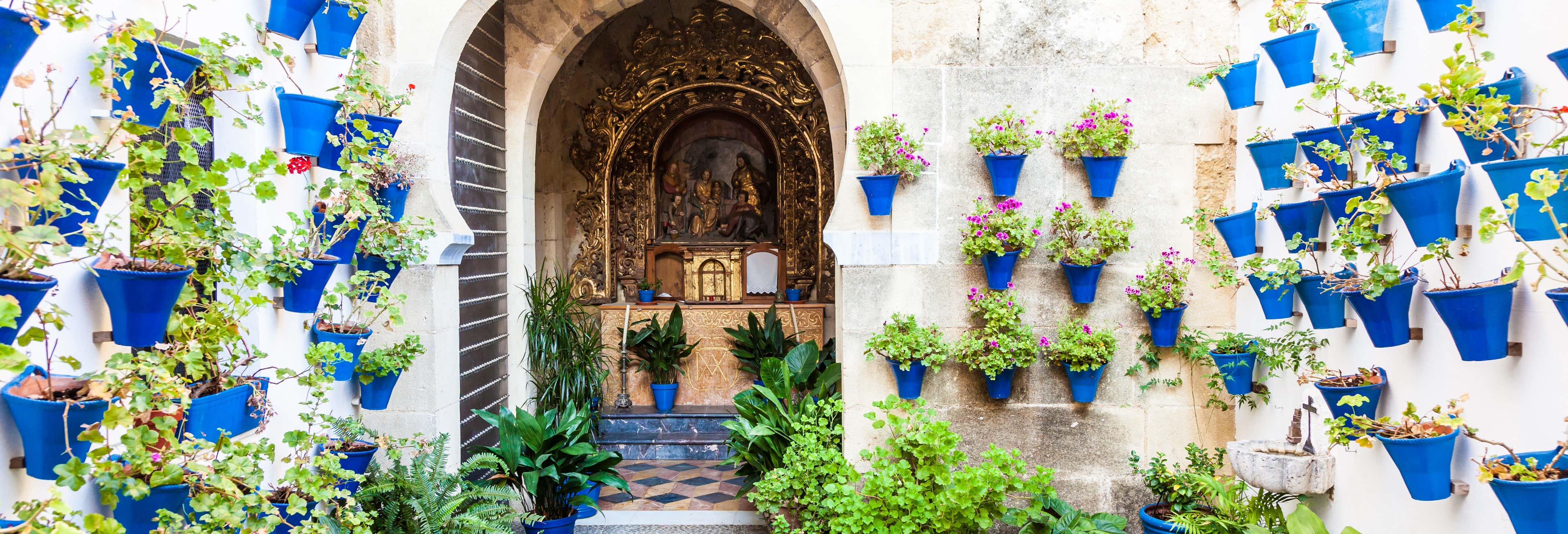 Visita guiada por los Patios de Córdoba