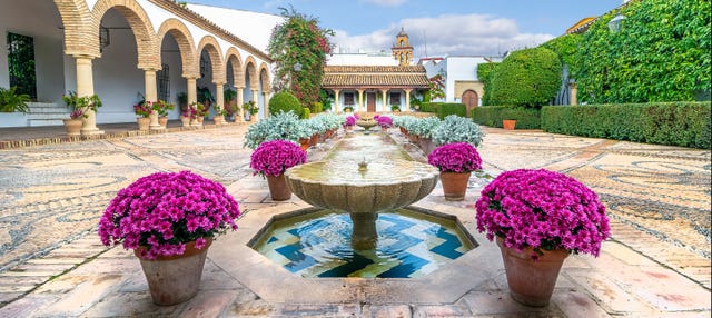 Visita del Palacio de Viana y sus patios