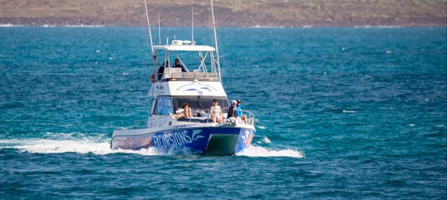 Balade en catamaran avec observation des cétacés depuis Corralejo