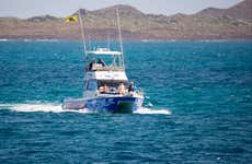 Balade en catamaran avec observation des cétacés depuis Corralejo