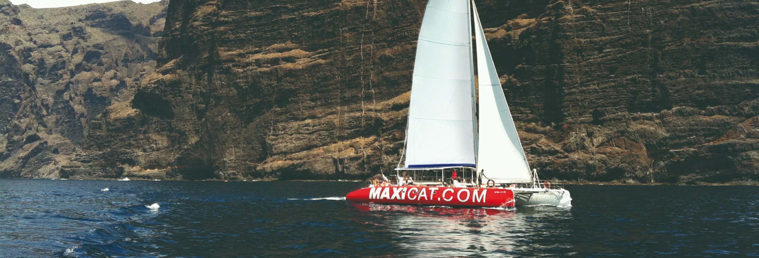 Paseo en catamarán por Los Gigantes, Costa Adeje y Masca