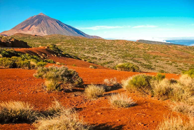 Volcanic landscape of the Teide