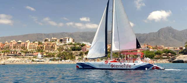 Costa Adeje 5 Hour Whale & Dolphin Catamaran Experience