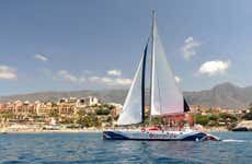 Costa Adeje 5 Hour Whale & Dolphin Catamaran Experience