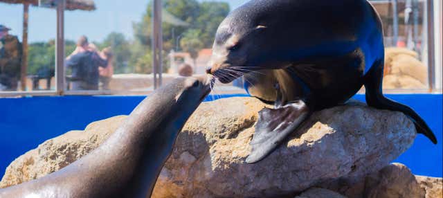 Entrada a Marineland Mallorca