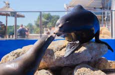 Entrada a Marineland Mallorca