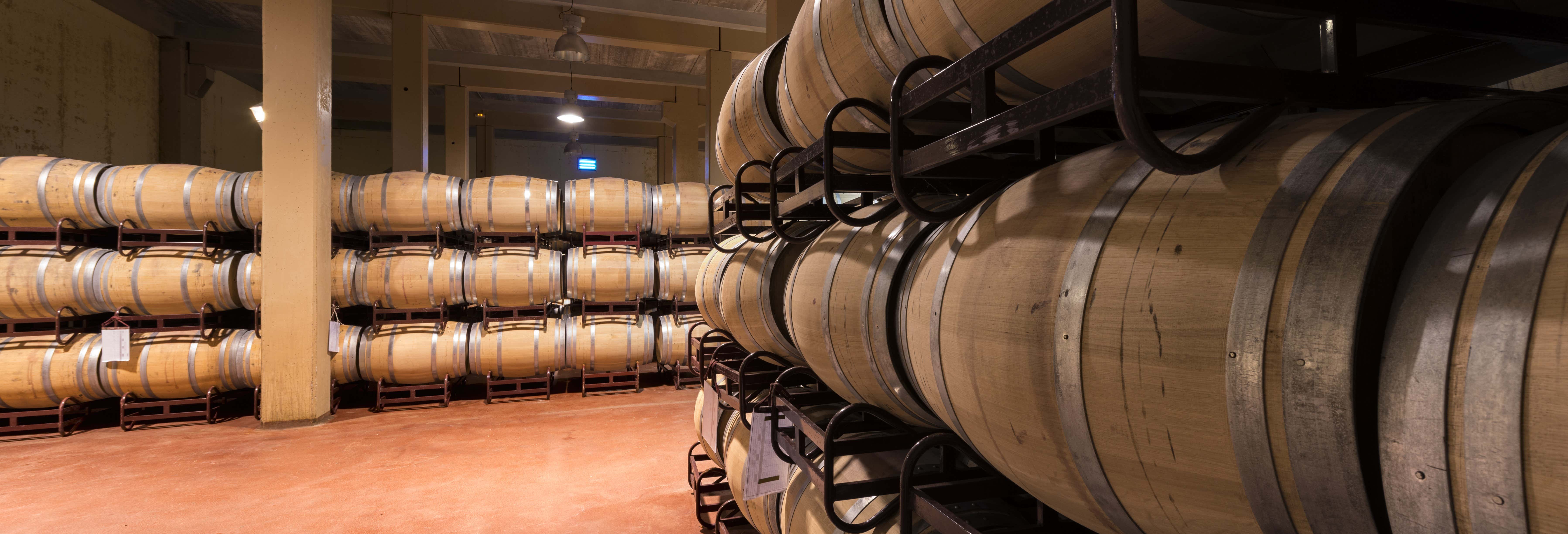 Tour de viñedos y bodegas por La Mancha desde Cuenca