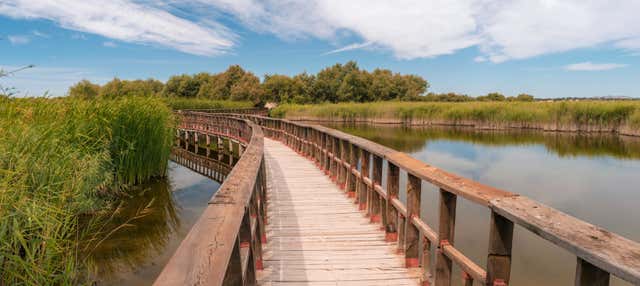 Tour por las Tablas de Daimiel y Laguna de Navaseca