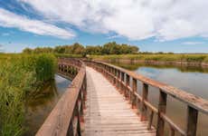 Tour pelas Tablas de Daimiel e Lagoa de Navaseca