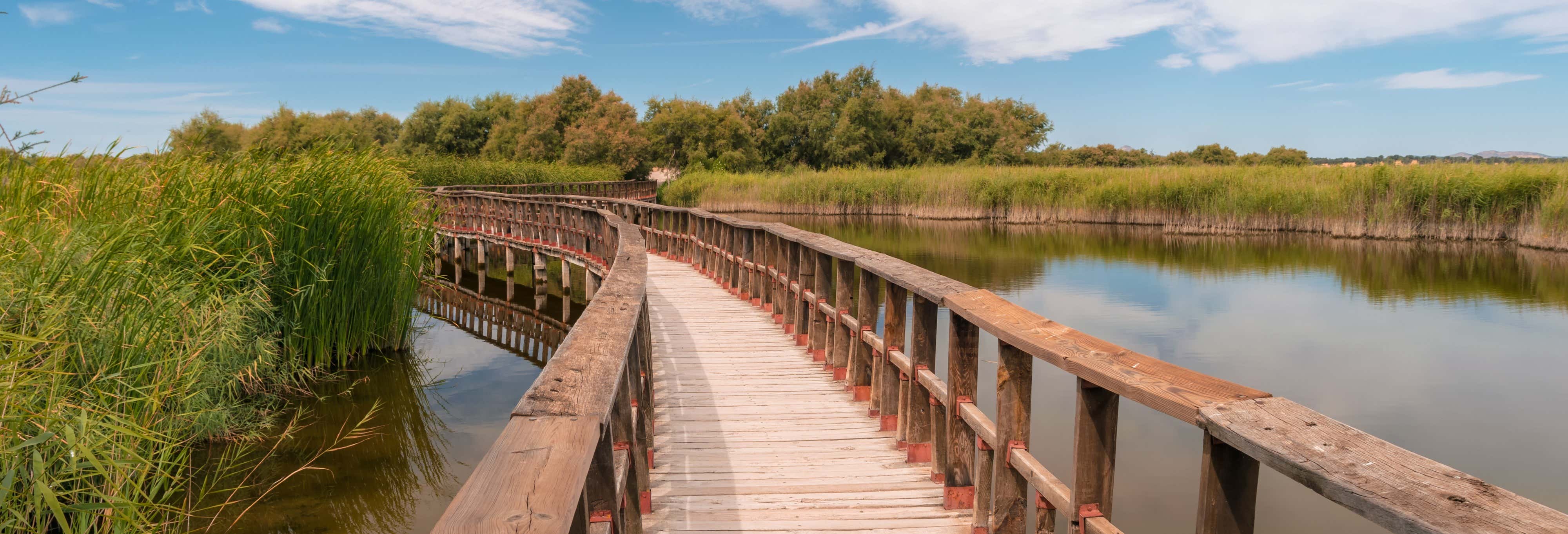 Tour por las Tablas de Daimiel y Laguna de Navaseca desde Daimiel