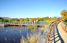 Tour por las Tablas de Daimiel