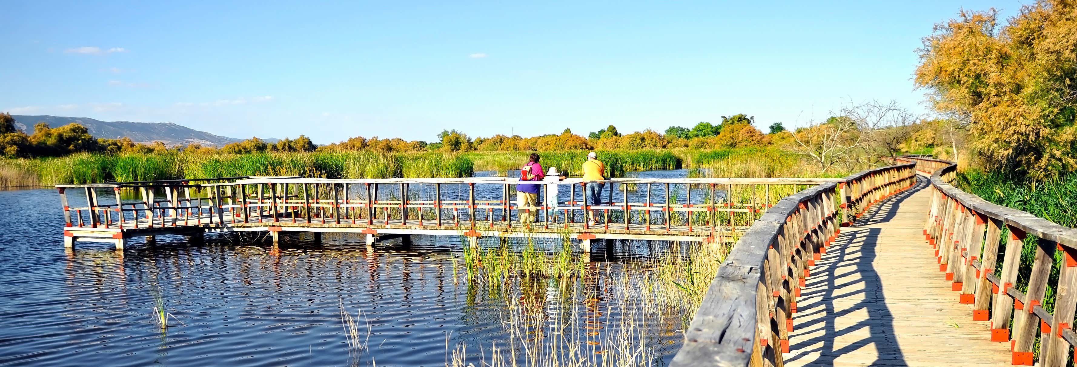 Excursión por las Tablas de Daimiel