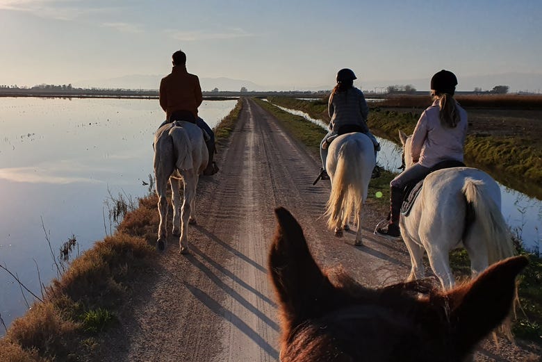 Horse riding in the Ebro Delta