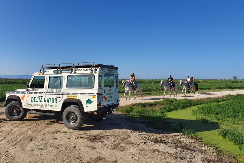 Horse riding tour of the Ebro Delta