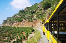 Tren turístico de la Ribeira Sacra