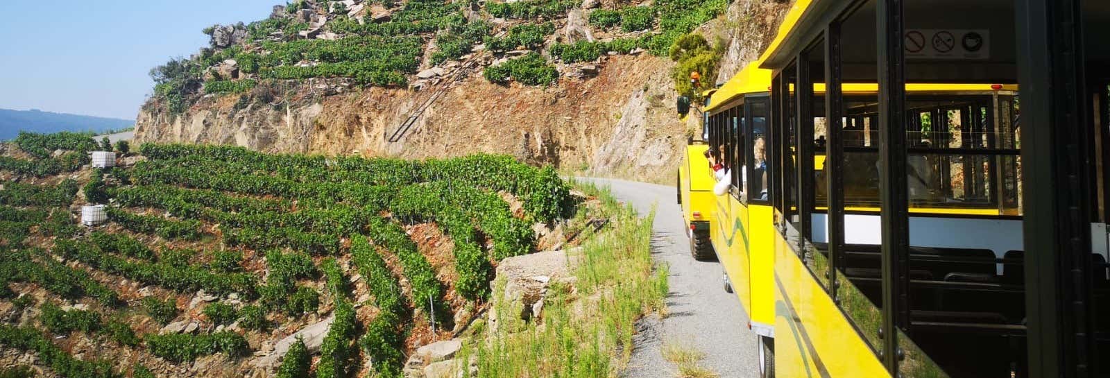 Tren turístico de la Ribeira Sacra desde Doade