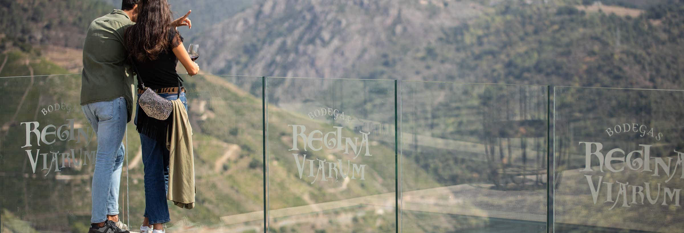 Excursión a la bodega Regina Viarum desde Doade