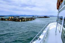 Minicrociera sulla Ría di Arousa con pranzo