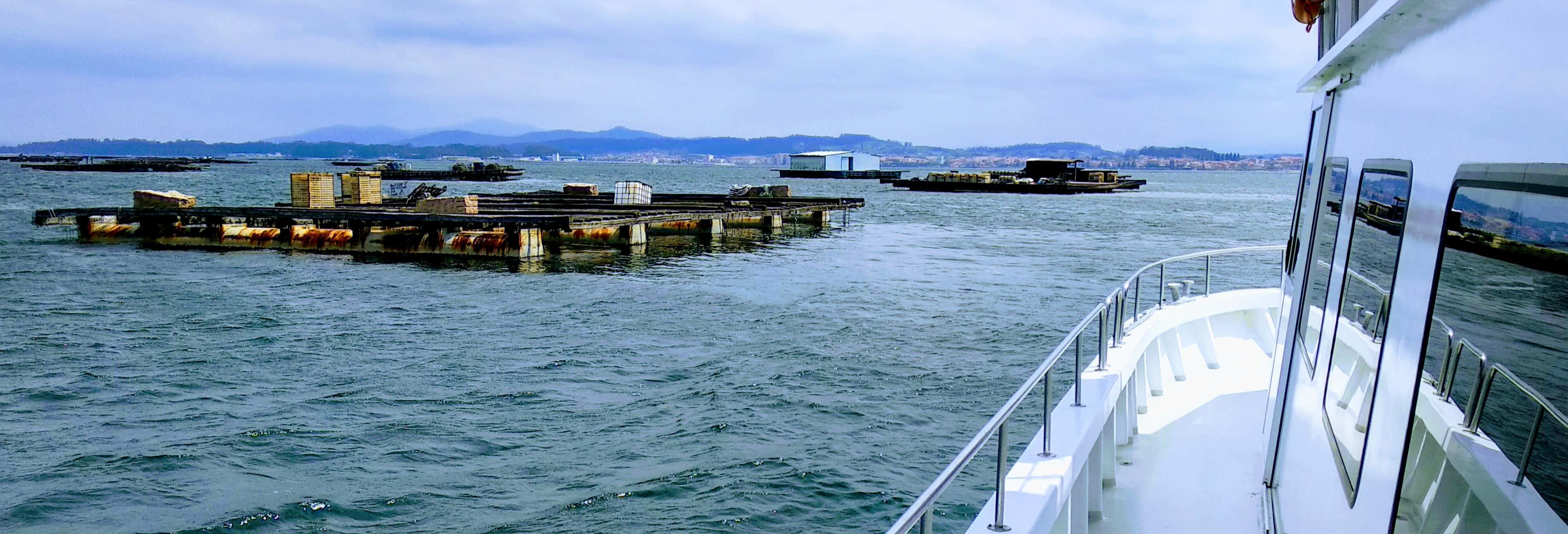 Excursión en barco por la ría de Arosa con comida