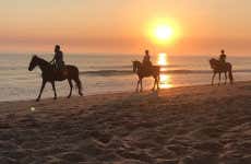 El Palmar de Vejer Horse Riding Tour