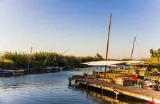Free tour por la Albufera
