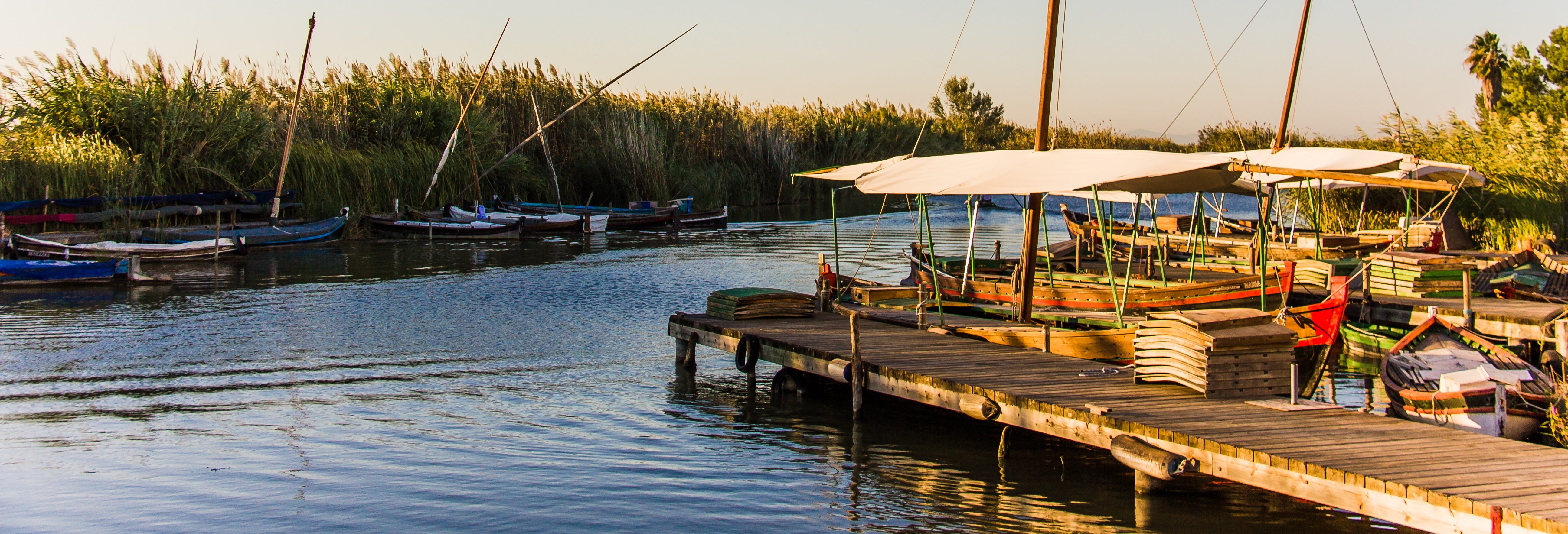 free tour albufera