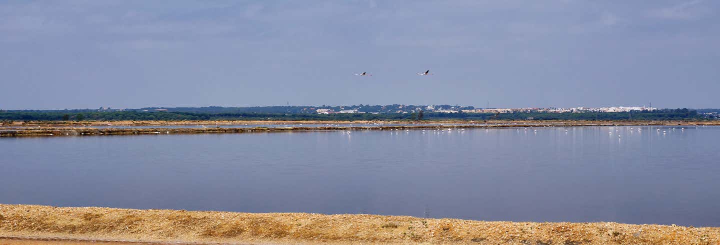 Excursión en barco a la isla Saltés desde El Portil