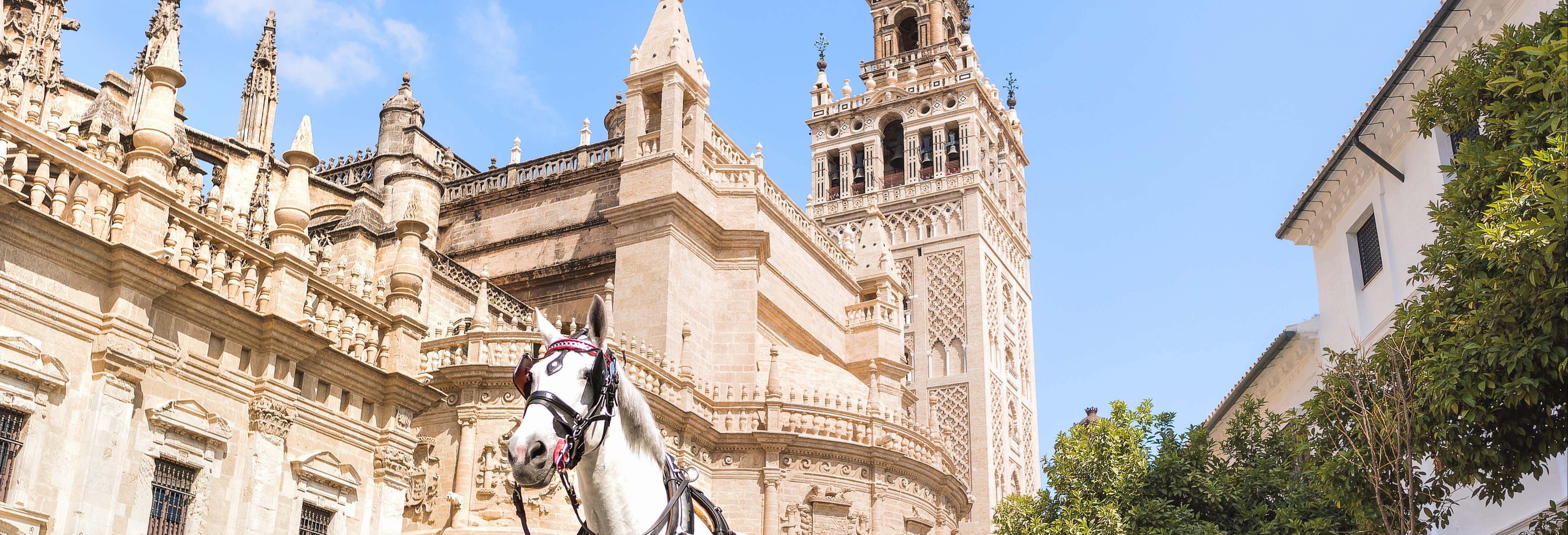 Excursión a Sevilla desde El Portil