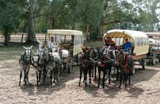 Paseo a caballo por Doñana y El Rocío