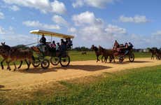 Paseo en carreta por los alrededores de Doñana y El Rocío