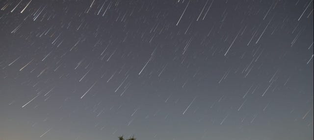 Observación de estrellas en los campos de lavanda