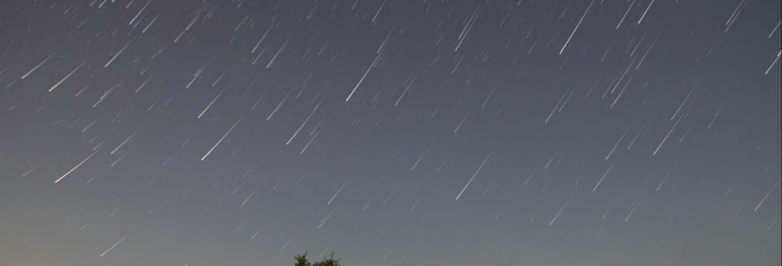 Observación de estrellas en los campos de lavanda desde El Romeral