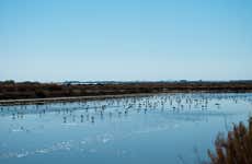 Excursión al Parque Nacional de Doñana