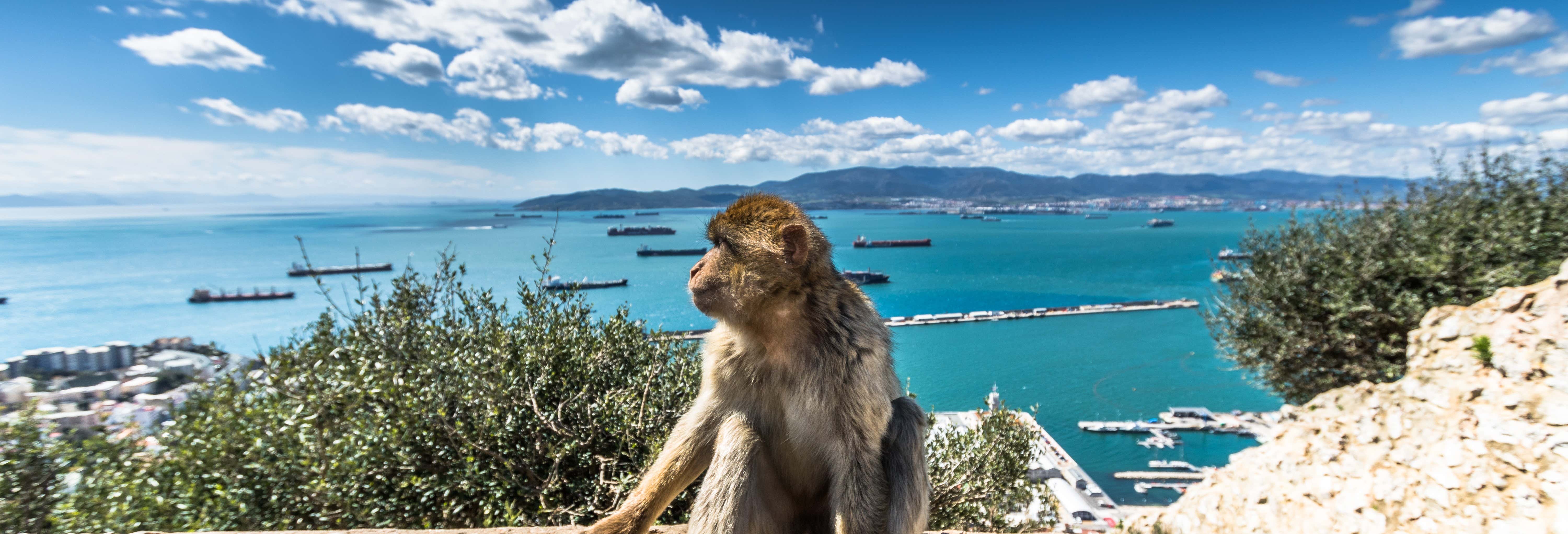 Excursión a Gibraltar desde El Rompido
