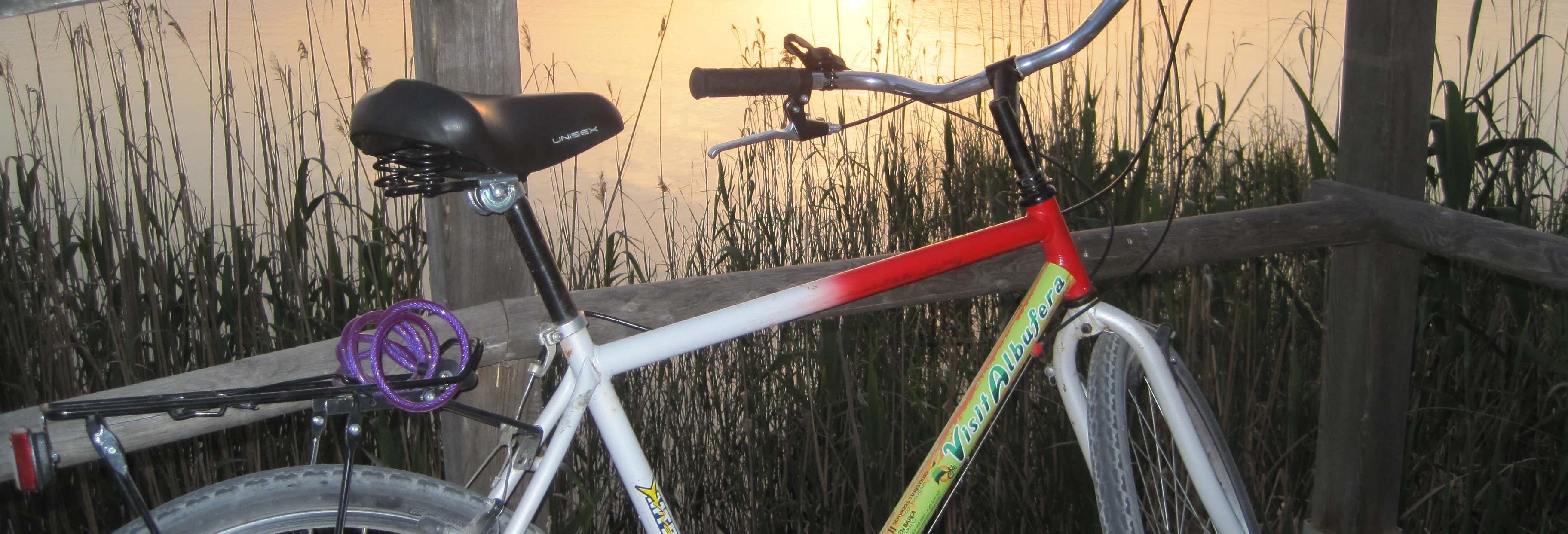 Alquiler de bicicletas en la Albufera + Paseo en barca desde El Saler