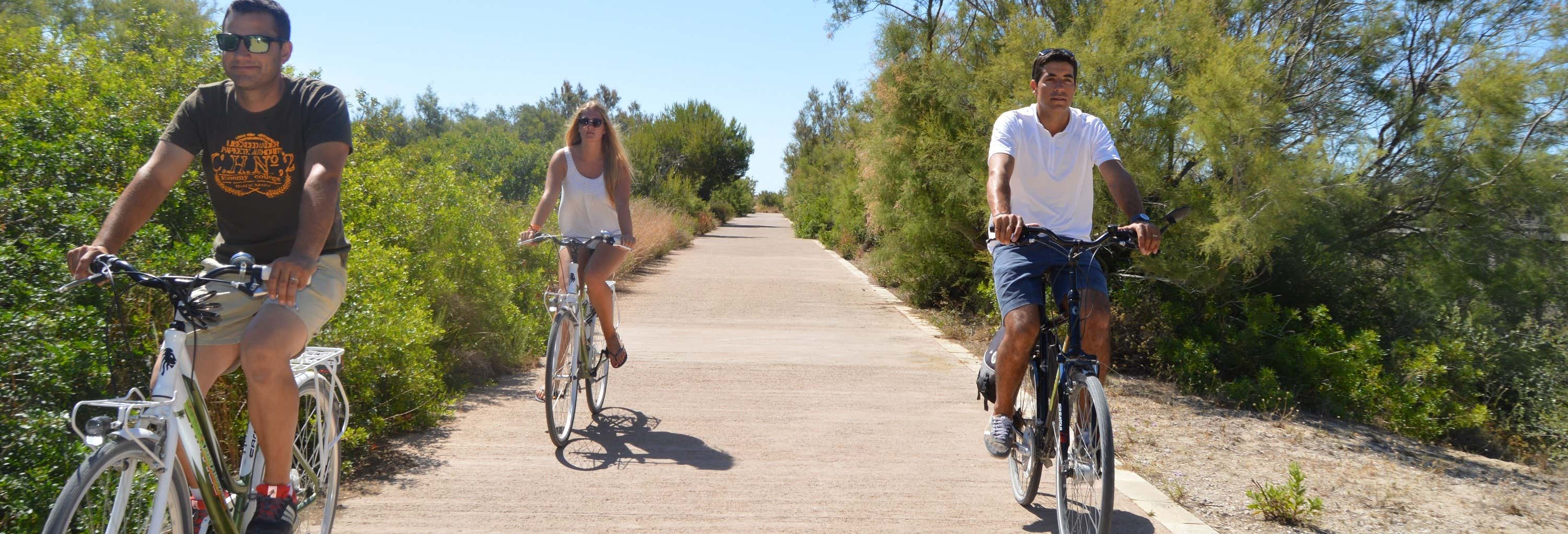 Alquiler de bicicletas en la Albufera